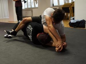 Groundfighting Seminar, 09.09.2017
