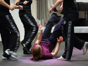 Groundfighting Seminar, 09.09.2017