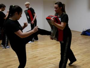 Kicks & Kick Defenses Seminar, 18.11.2017