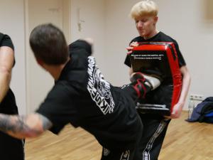 Kicks & Kick Defenses Seminar, 18.11.2017