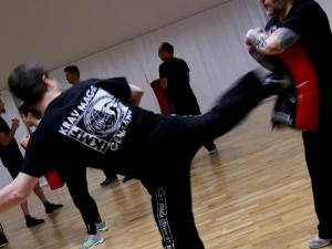 Kicks & Kick Defenses Seminar, 18.11.2017
